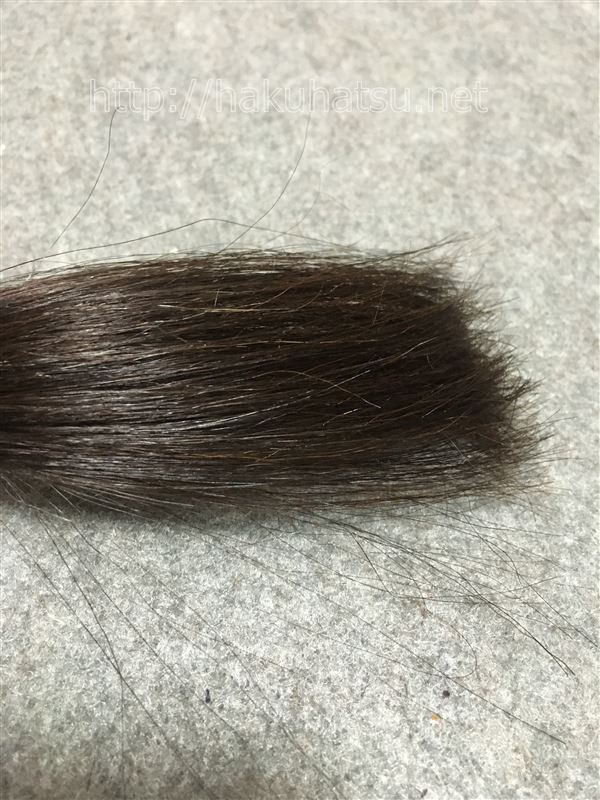 ビゲン 香りのヘアカラー 乳液 4CA カフェブラウン × 27点 | sport-u.com